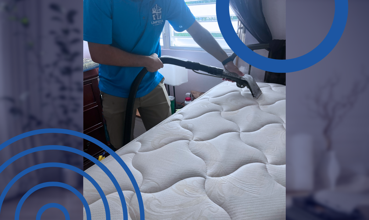 vision background-limpiezaalmomento